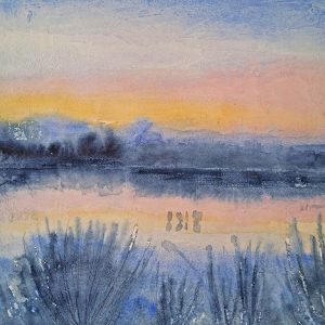 Abendstimmung im Hiller Moor