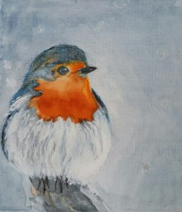 Robin in the Snow